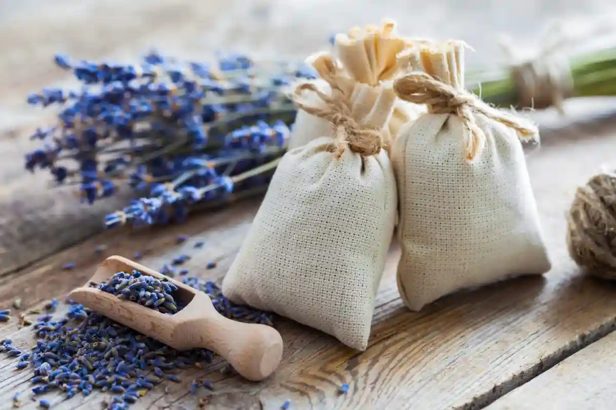 sacchetti di lavanda secca